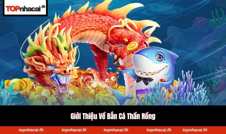 Giao diện sinh động và dễ thao tác đối với người chơi