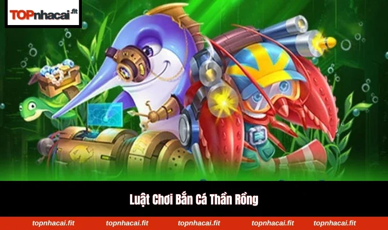 Các loại cá và điểm thưởng chi tiết