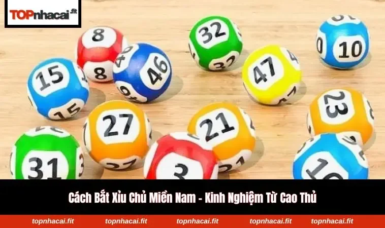 Biểu đồ tần suất xuất hiện các con số trong 10 kỳ