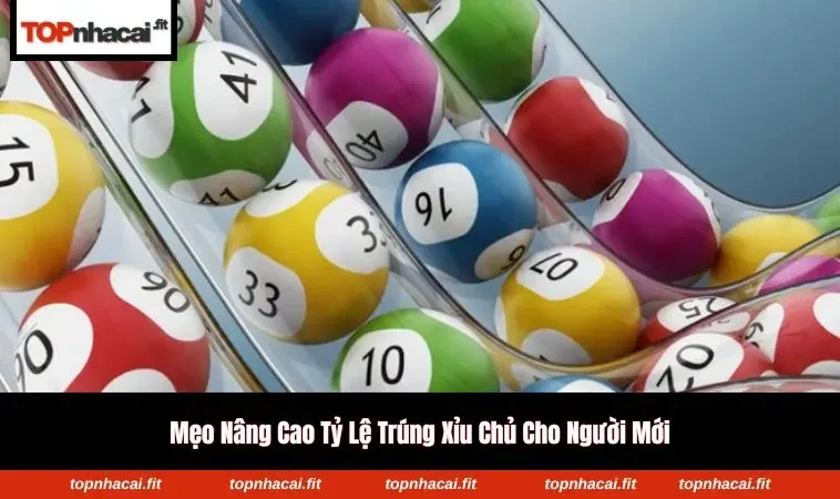 Bảng cầu đặc biệt thể hiện quy luật xỉu chủ