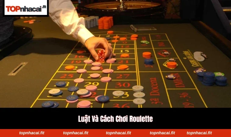 Các ô cược đa dạng mang lại nhiều lựa chọn và chiến thuật khác nhau