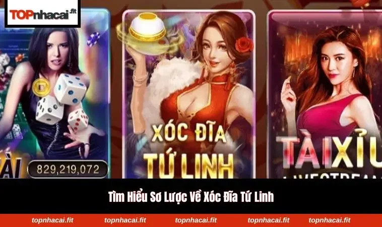 Người chơi tập trung phân tích biểu tượng Long - Lân - Quy - Phụng