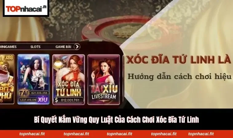 Người chơi vận dụng bảng ghi kết quả vào xóc đĩa